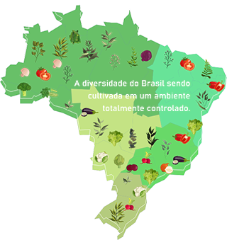 Mapa Saudavel